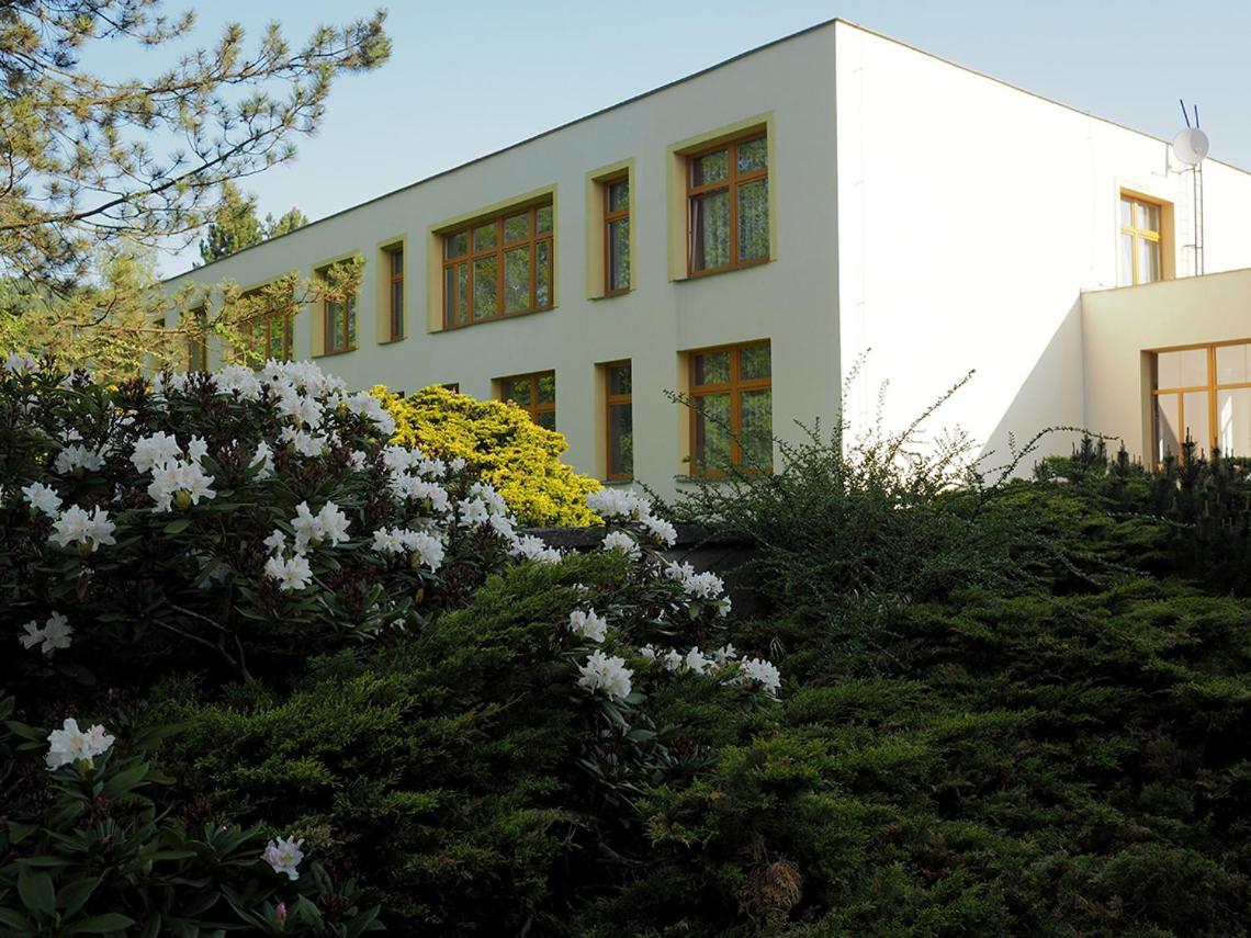 Penzion Fit Velké Losiny Exterior foto